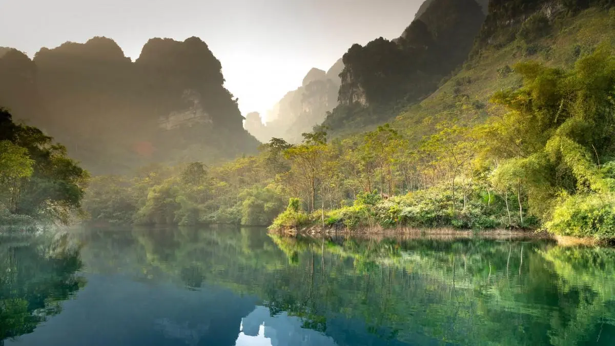 高效绿色